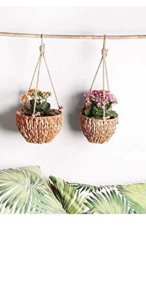 Evistro Vazo, Saksı