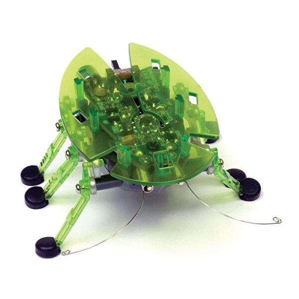 Hexbug Eğitici Oyuncaklar