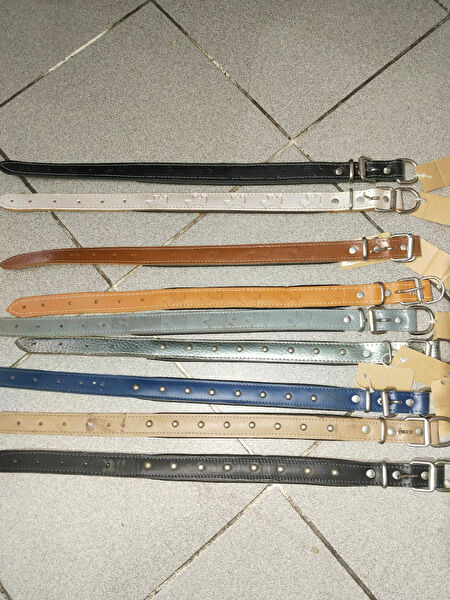 GEZER AKVARYUM PETSHOP Köpek Tasmaları