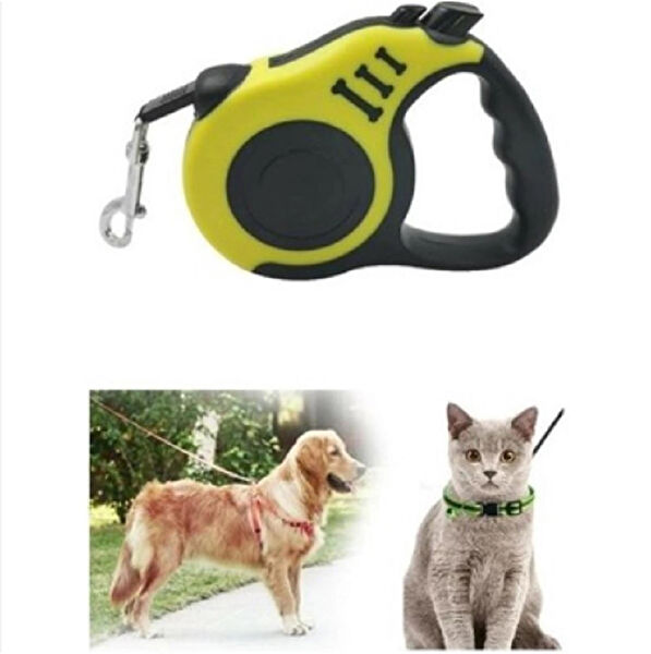 Paticimiss Köpek Tasmaları