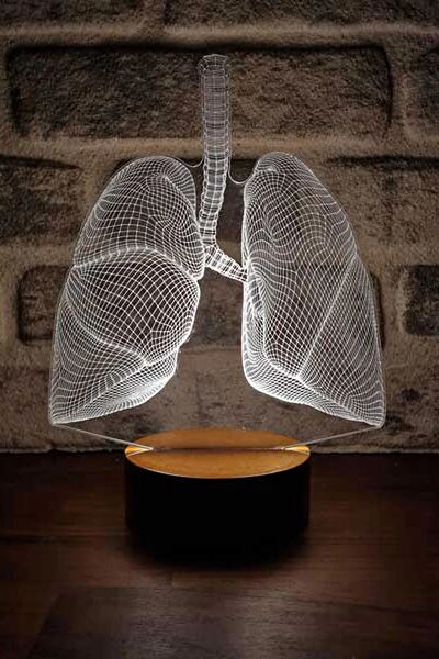 By-Lamp Masa Lambası