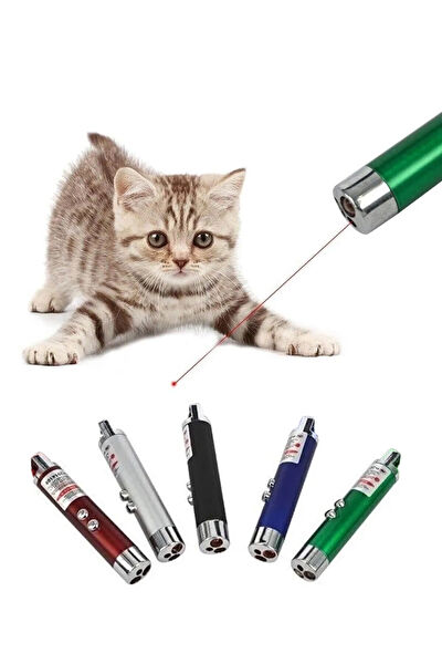 Armoni Kedi Oyuncakları