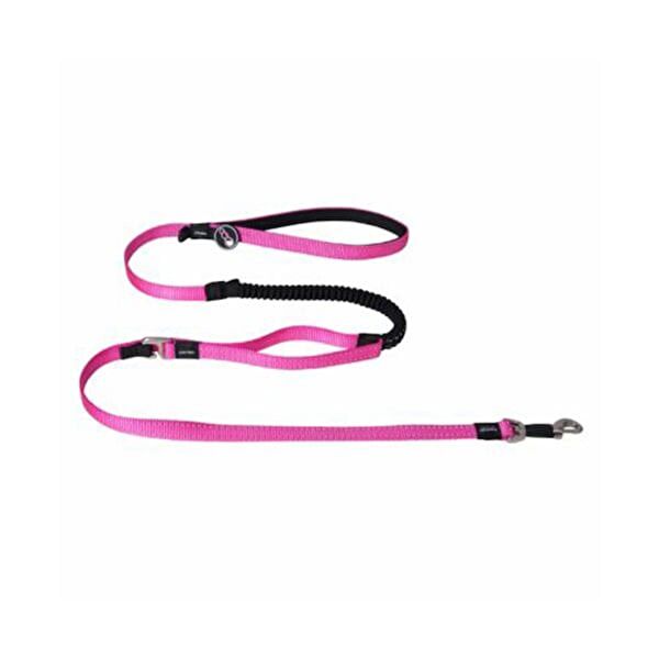 Rogz Köpek Tasmaları