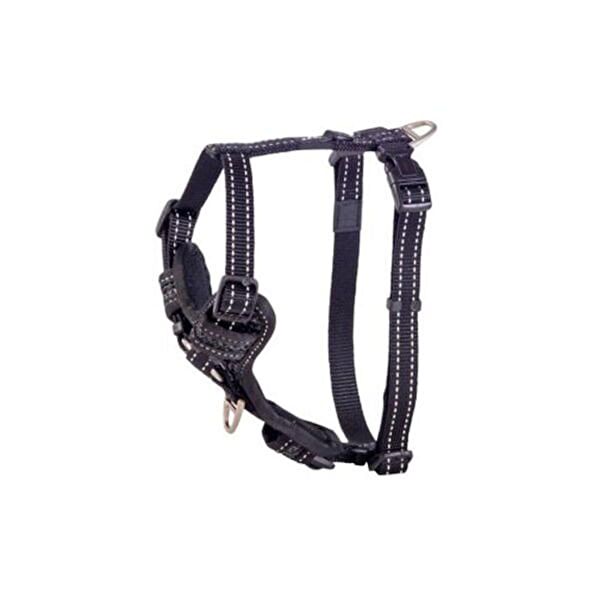 Rogz Köpek Tasmaları