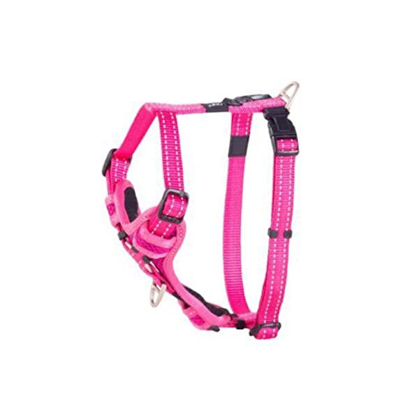 Rogz Köpek Tasmaları