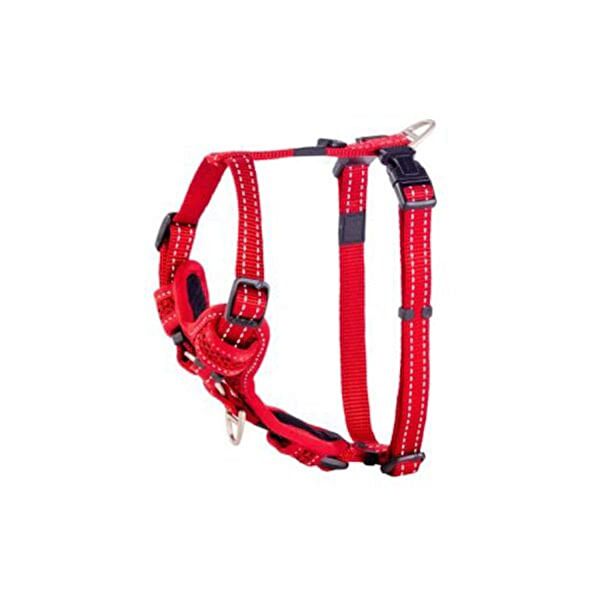 Rogz Köpek Tasmaları