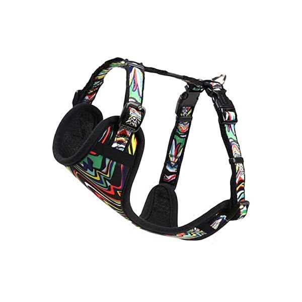 Rogz Köpek Tasmaları