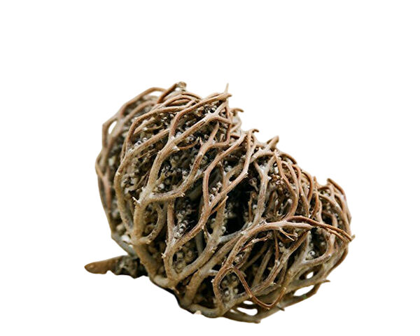 BESLENME DEDEKTİFİ Aktar Ürünleri