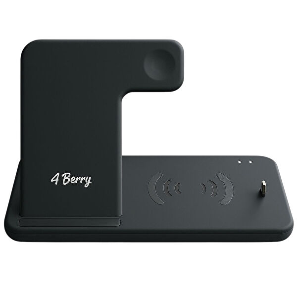 4Berry Kablosuz Şarj Aleti, Alıcı