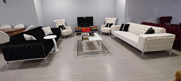 Titiz koltuk Koltuk Takımı