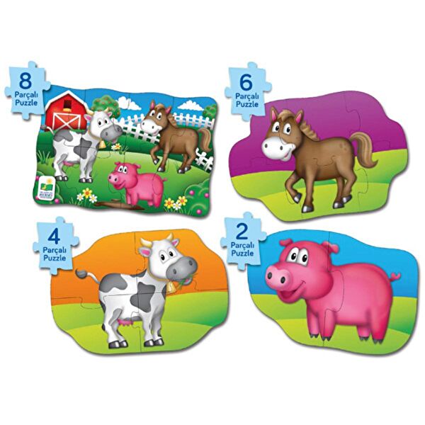 The Learning Journey International Puzzle