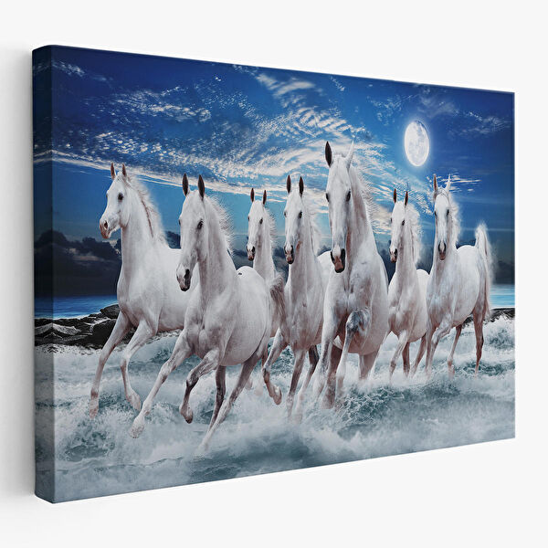 Harita Sepeti Kanvas Tablo