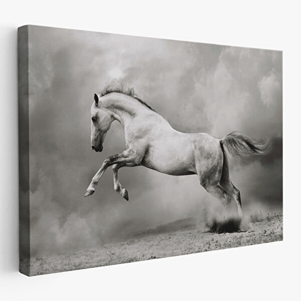 Harita Sepeti Kanvas Tablo