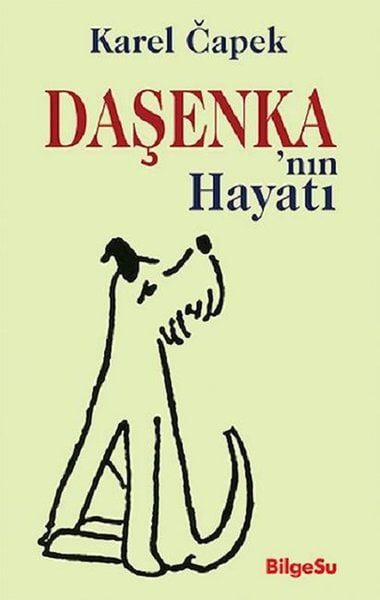BilgeSu Yayıncılık Çocuk Öykü, Masal Kitapları