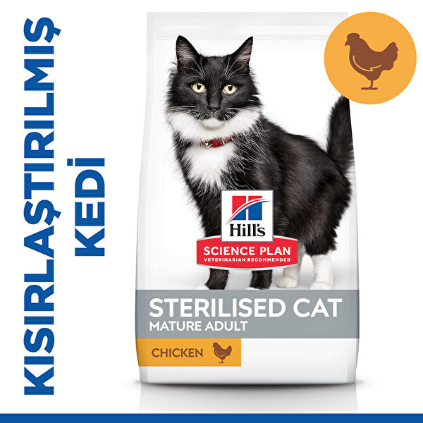 Hill's Kedi Maması