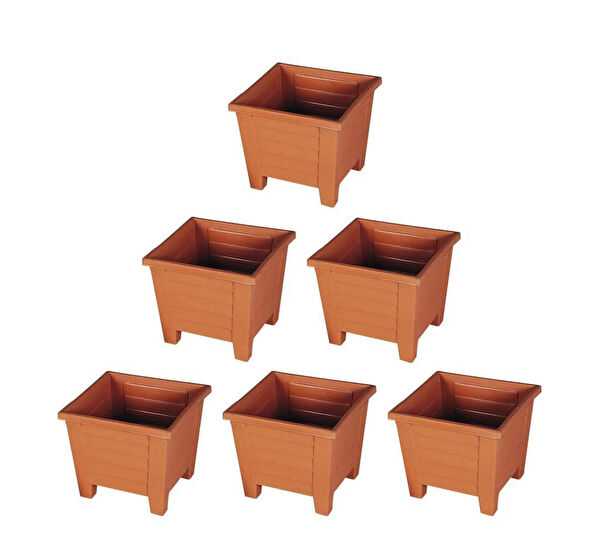 Omnipazar Vazo, Saksı