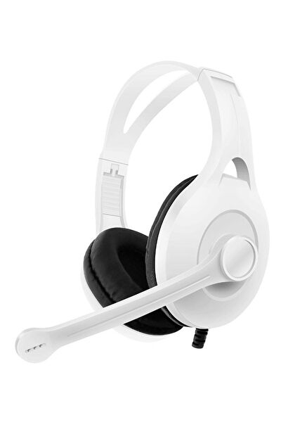 Tarzbu Bilgisayar Kulaklığı