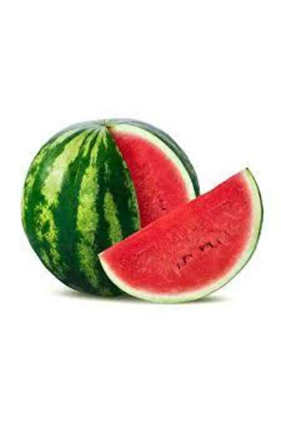 Serdar Çam Tohumculuk Tohum