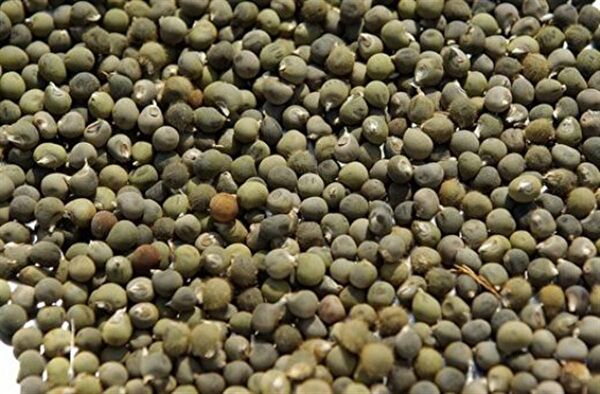 Değirmenci Ali Baharat