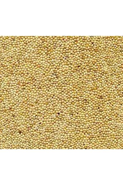 Özdemir Kuş Yemi, Kraker