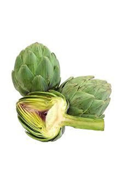 Serdar Çam Tohumculuk Tohum