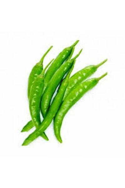 Serdar Çam Tohumculuk Tohum