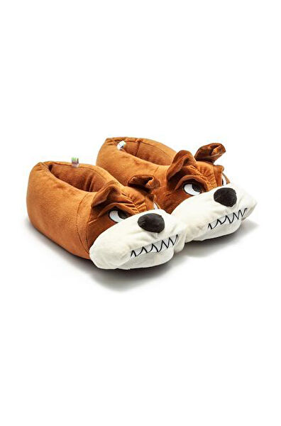 Twigy Erkek Ev Botu, Panduf