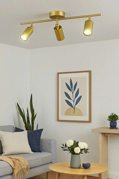 Legacy Avize, Sarkıt