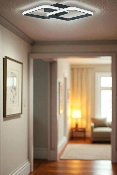 Legacy Avize, Sarkıt