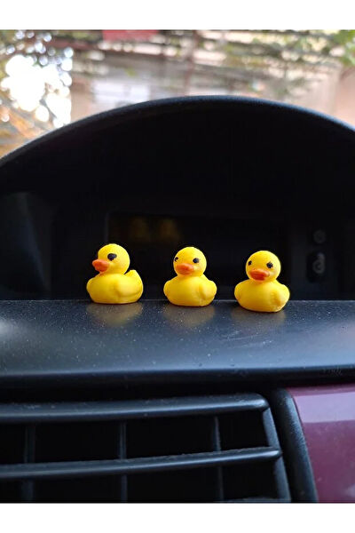 FSK STUDIO Kişisel Ürünler