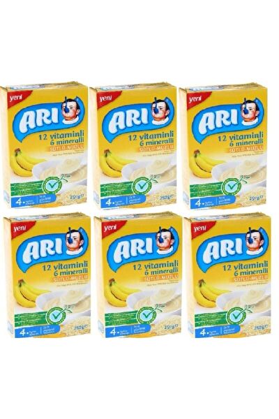 Arı Mama Devam Sütü