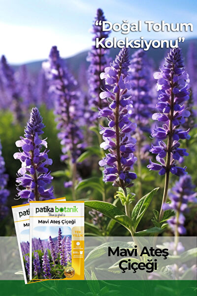 Patika Botanik Tohum