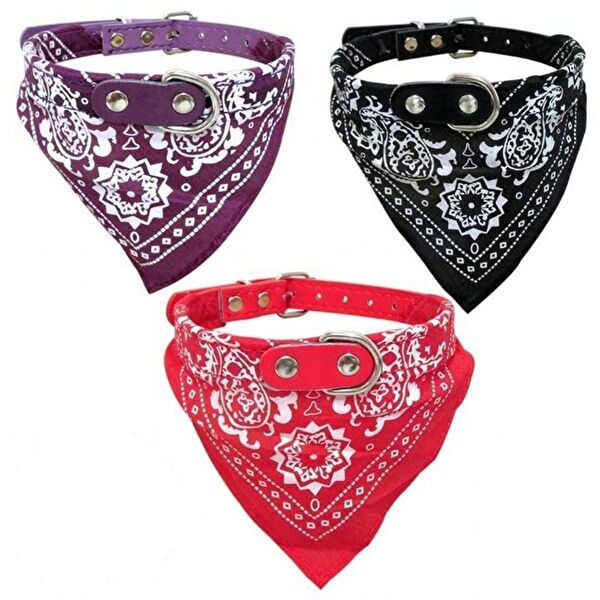 Nunbell Kedi Tasmaları ve İsimlikler