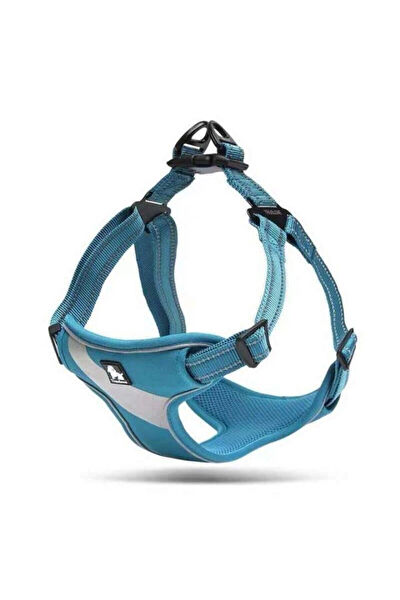 Nunbell Köpek Tasmaları