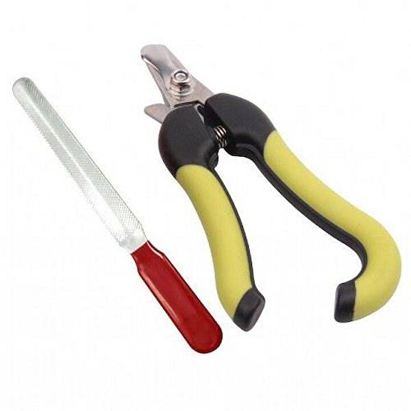 Nunbell Kedi Tarak, Fırça, Makas