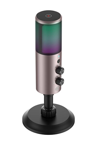 Havit Bilgisayar Mikrofonu