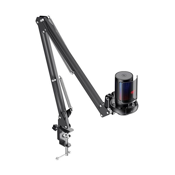 Havit Bilgisayar Mikrofonu