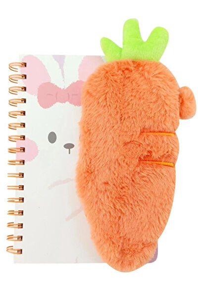 Mınıso Defter, Ajanda