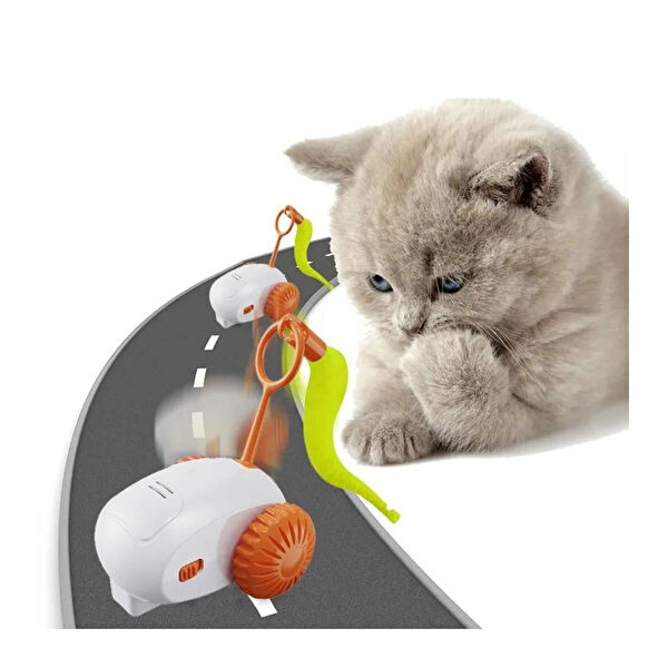 Zampa Kedi Oyuncakları