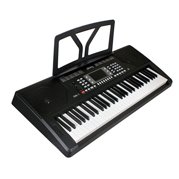 Lichtenberg Org, Klavye