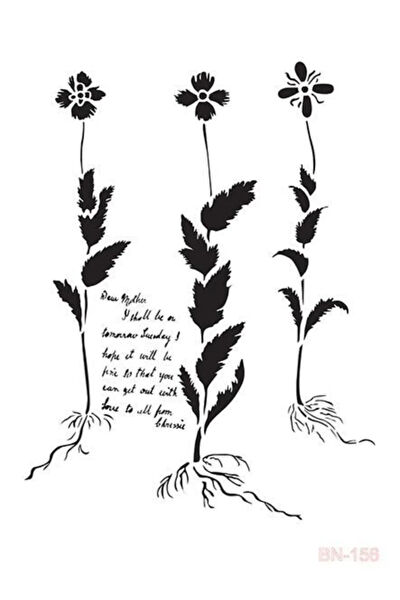 Cadence Akrilik Boya