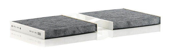 Mann Filter Polen Filtreleri