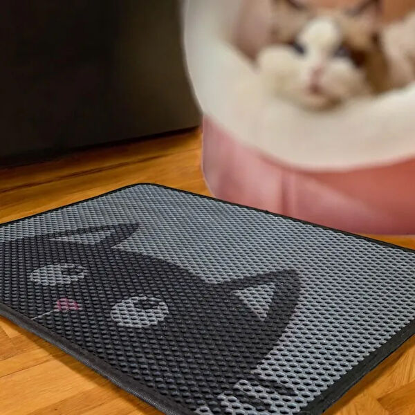 Chandler Home Kedi Tuvalet Eğitimi