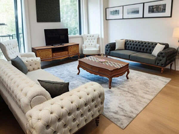 Titiz koltuk Koltuk Takımı