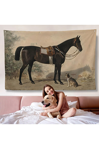 Harita Sepeti Duvar Halısı, Örtüsü