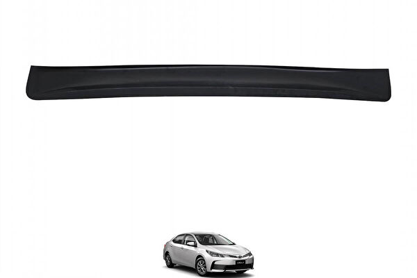 Omsaline Anatomik Spoiler