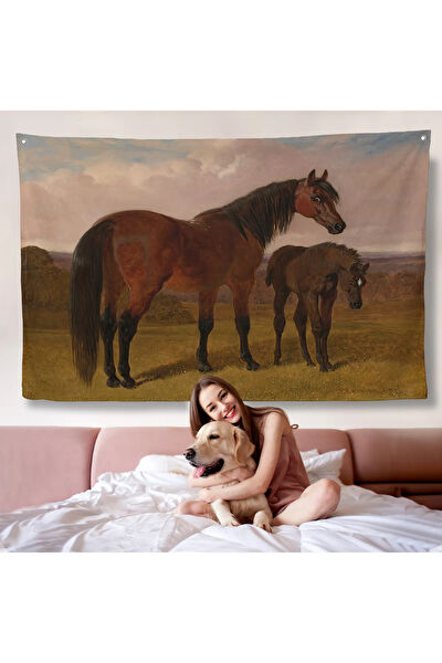 Harita Sepeti Duvar Halısı, Örtüsü