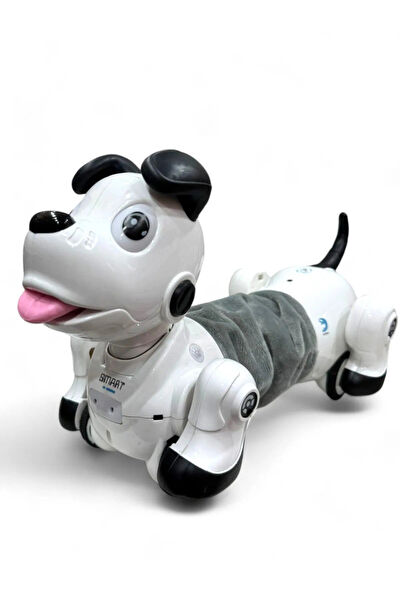 Pshoplay Robot Oyuncaklar