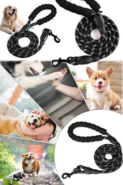 CARNIVAL LAND Köpek Tasmaları