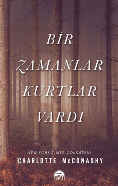 Martı Yayınları Roman Kitapları